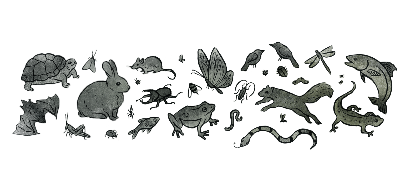 Decorative wildlife illustration